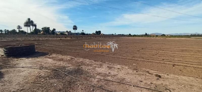 Foto 0edcdca8-b58e-4ec2-bd8a-b107d342bc27. Country house in La Foia - Daimés - Asprella Elche / Elx