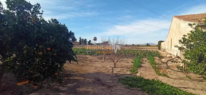 Foto 1e306bdf-ed81-4687-948f-a7f21855e7fc. Country house in La Foia - Daimés - Asprella Elche / Elx