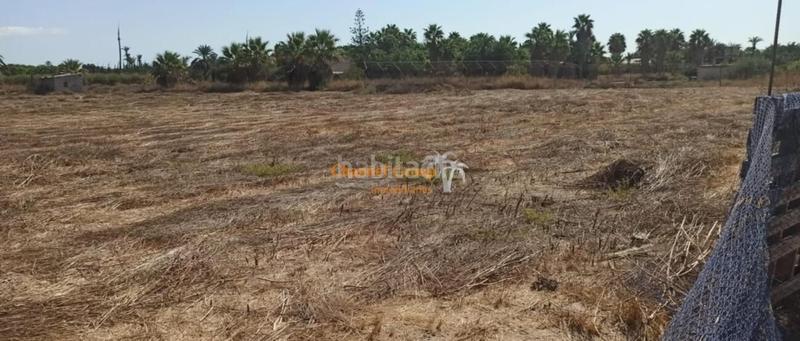 Foto 39c54f86-6810-4910-9280-fb90918edbde. Country house in La Foia - Daimés - Asprella Elche / Elx