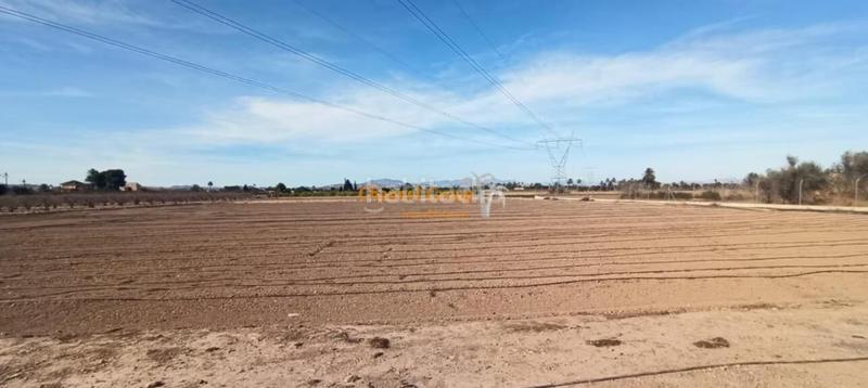 Foto 5a0c778a-c8e5-4e01-b193-8d6d85046a70. Country house in La Foia - Daimés - Asprella Elche / Elx