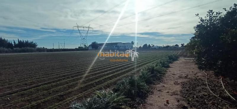 Foto dc812fc7-1a7a-4040-874a-c4b9649d7f1c. Country house in La Foia - Daimés - Asprella Elche / Elx