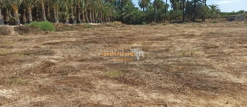 Foto dd69cd3c-30cf-4439-abe0-20e39bdf91c0. Country house in La Foia - Daimés - Asprella Elche / Elx