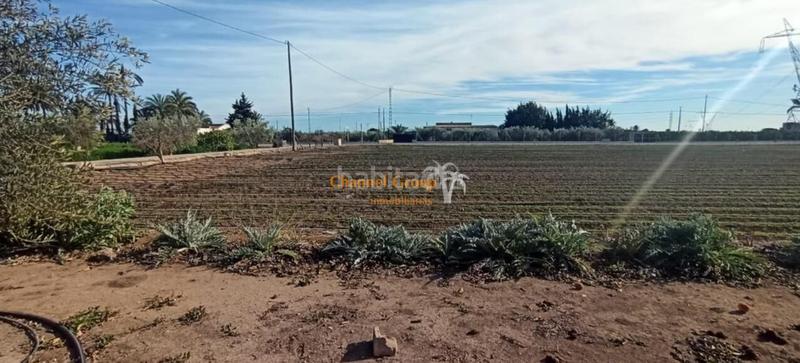 Foto ec280f1d-f3e9-4ae3-a90c-0f36bcf53017. Country house in La Foia - Daimés - Asprella Elche / Elx