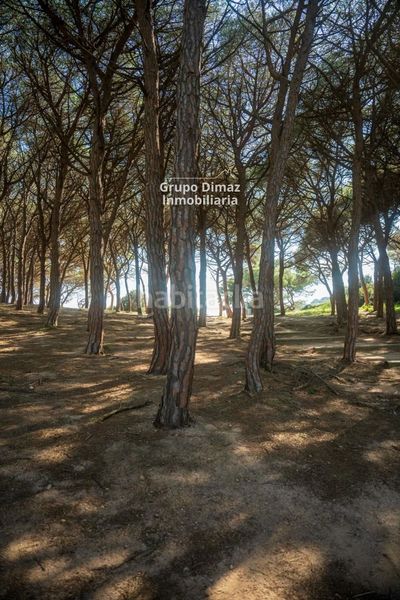 Foto 3ae1add1-0dd7-4d59-b681-5b8f5c30fd5d. Dúplex amb piscina a Port d´Aro Platja d´Aro