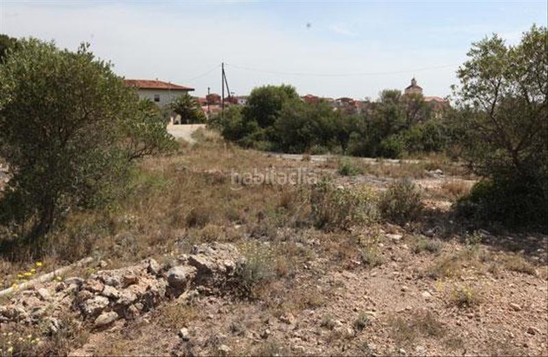 Foto 7f764ac5-6f6e-40a3-99fe-2b64ada8e35a. Terreny residencial a Poble Mont-roig del Camp
