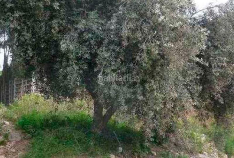 Foto ecaf8a29-67c9-4635-bb7a-b648444fc420. Terrain résidentiel dans Cunit residencial Cunit