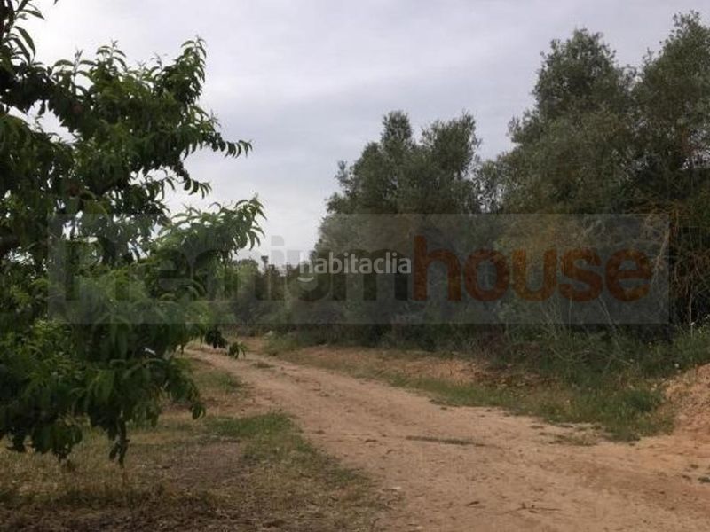 Foto cda98c06-2d71-4b2c-b008-aff8f79b5f1b. Terreny residencial a Móra d´Ebre