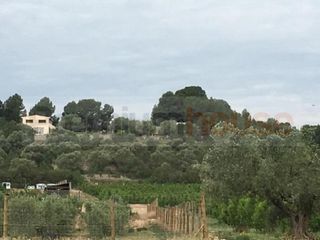 Terreny residencial a Móra d´Ebre. Finca rústica en mora debre