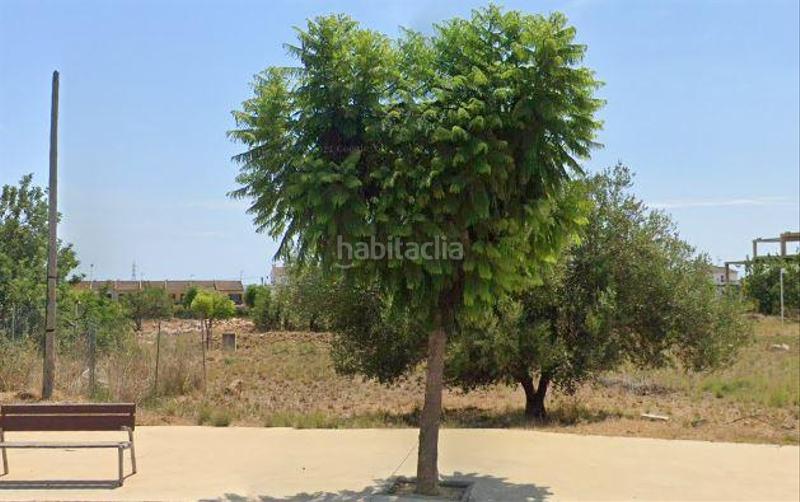 Foto a666957b-d7d4-435c-8c73-9e415733b5e3. Wohngrundstück in Roda de Barà