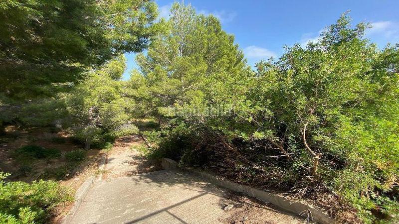 Foto 235458a2-7305-4abc-9e94-764f529f2b20. Terrain résidentiel dans Costa del Zèfir Miami Platja