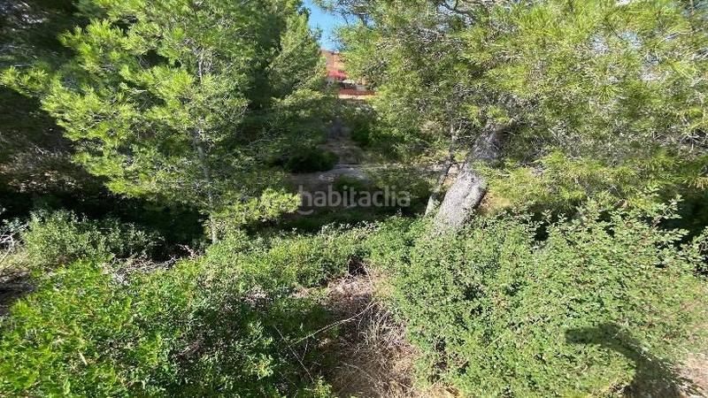 Foto 8ef47420-71e3-4f84-8047-7c93da51d912. Terrain résidentiel dans Costa del Zèfir Miami Platja