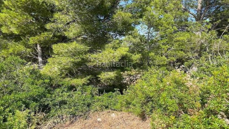 Foto 63d2f234-7b56-4ebb-a18c-02f2f058d0b0. Terreno residenziale in Costa del Zèfir Miami Platja