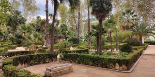 Appartamento  Avinguda de pérez galdós. Amplio y luminoso piso de 4 habitaciones junto al parque ribalta