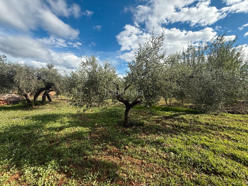 Foto 2e9a26c7-93bf-4eeb-984b-a627bbd50e02. Masía  en venta en les useras/useres para reformar en Useres (les)