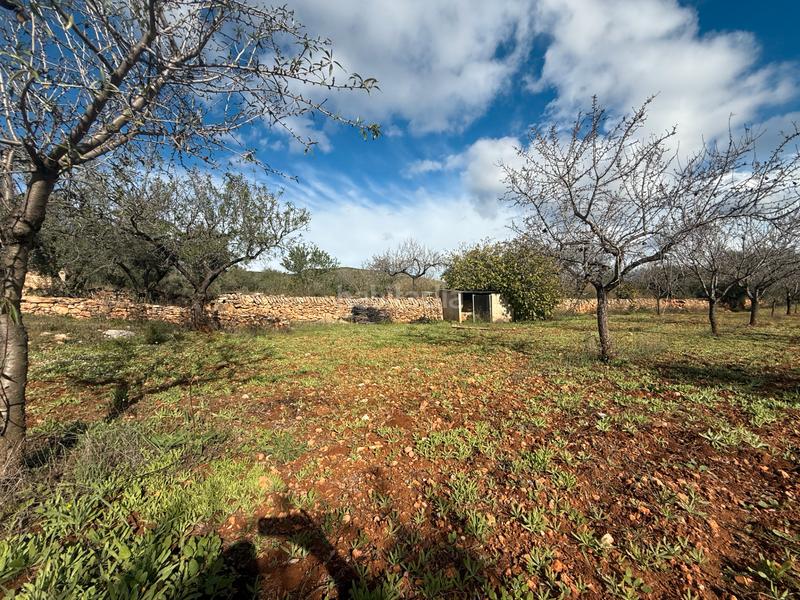 Foto 45e2eee0-8bf3-4d16-8a87-af2f9b0e8818. Masía  en venta en les useras/useres para reformar en Useres (les)