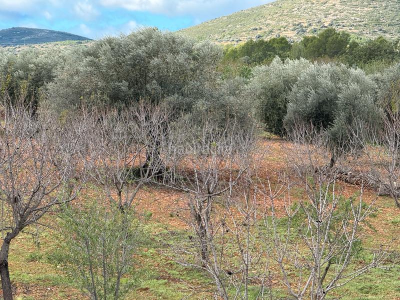 Foto 608d4f5c-1290-4a86-8b70-ece19903df6c. Masía  en venta en les useras/useres para reformar en Useres (les)