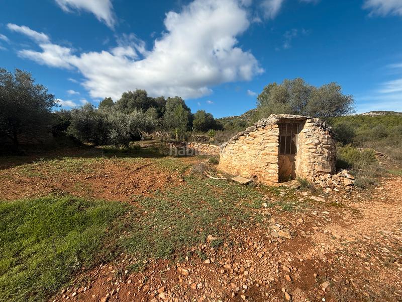 Foto 68781735-6dea-4cb9-89ec-e9286f15089d. Masía  en venta en les useras/useres para reformar en Useres (les)