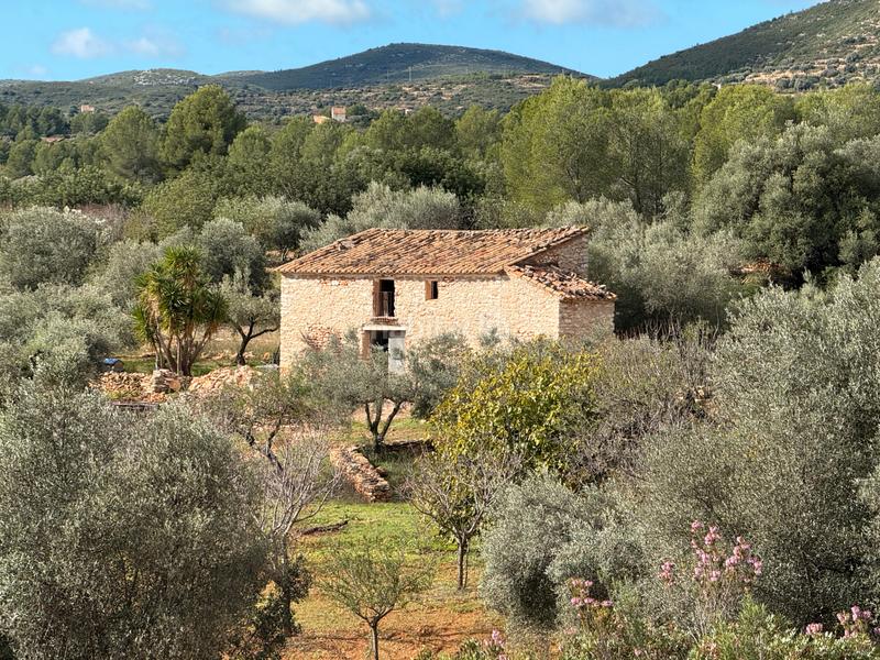 Foto 86fe0f8f-92cb-471b-ab8e-d1cdfedc7fb6. Masía  en venta en les useras/useres para reformar en Useres (les)