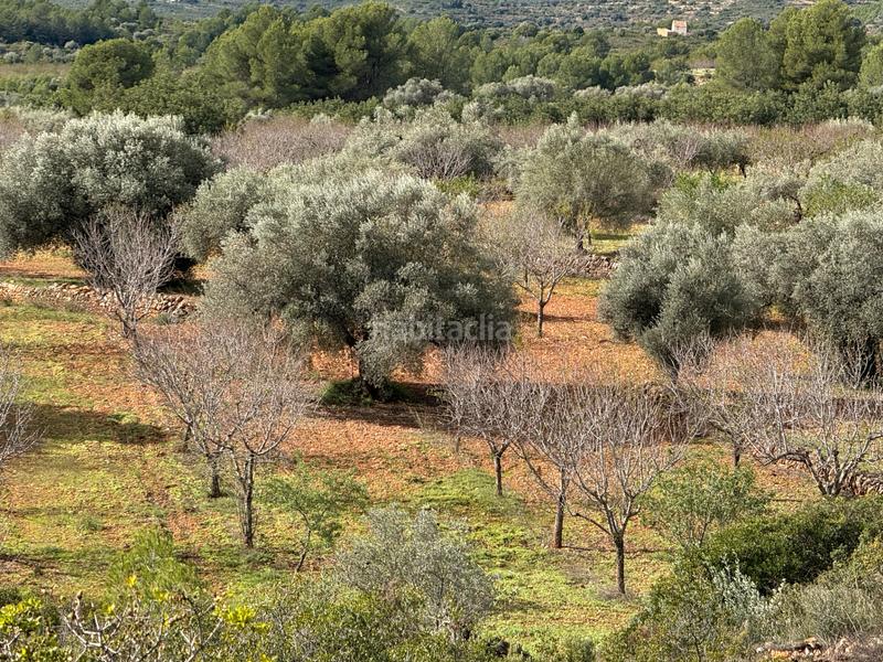 Foto 89dfd580-05a2-418f-8333-65fcf4a54fc9. Masía  en venta en les useras/useres para reformar en Useres (les)