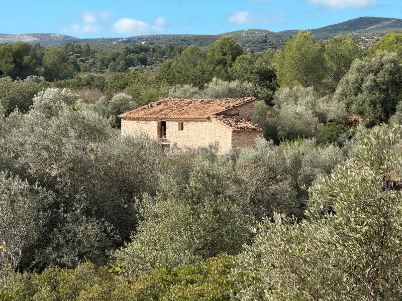 Foto ed473971-1980-48bb-9a20-27390c8c1545. Masía  en venta en les useras/useres para reformar en Useres (les)