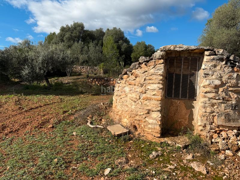 Foto f34aa35b-2d18-4e63-a62f-b4a55b17aeaa. Masía  en venta en les useras/useres para reformar en Useres (les)