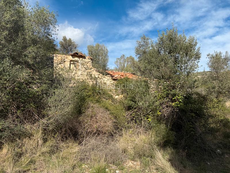 Foto 1e346f15-7830-4590-ae18-c9ef4558a709. Masia a Albocàsser