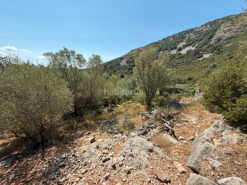 Foto 1f5ec9a5-22a3-4cd1-a742-a65dbb3e852d. Masia a Albocàsser