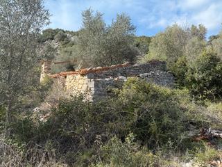 Mas  N/a. Masia para reformar con mucho terreno