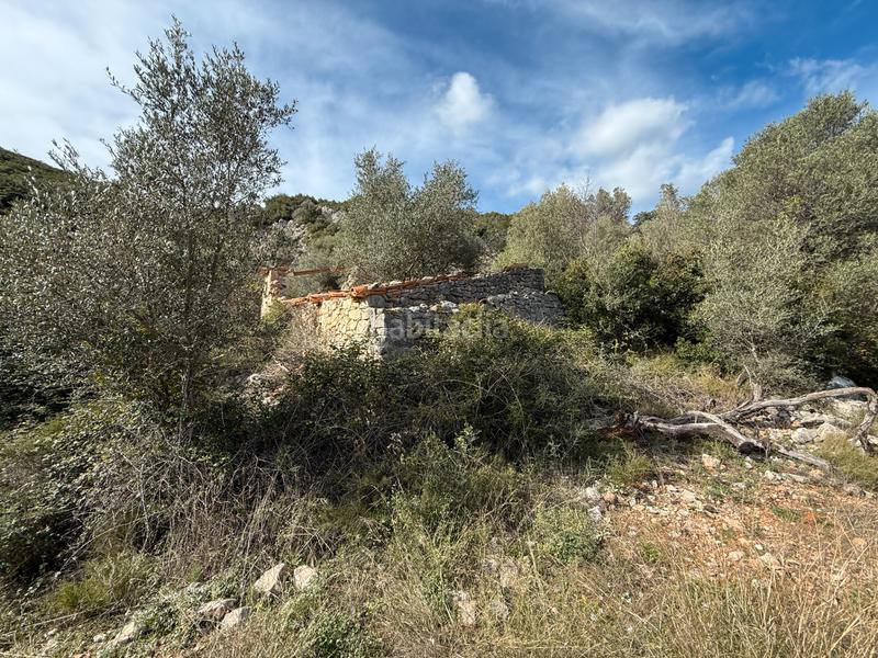 Foto 2fb1499a-7270-40fa-be29-cd0bfc0ab604. Masia a Albocàsser