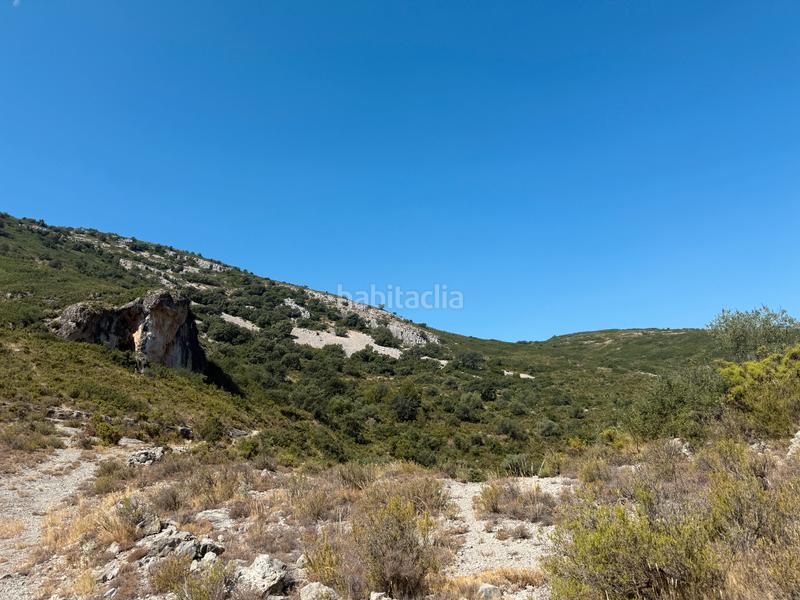 Foto 3fcb70c4-8baa-47ab-81e2-40f5a95584cd. Masia a Albocàsser