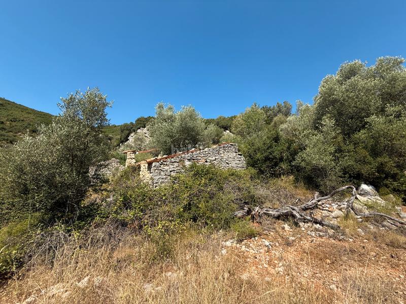 Foto 4c51c3bf-2db5-497d-9531-50c2d50d4266. Masia a Albocàsser