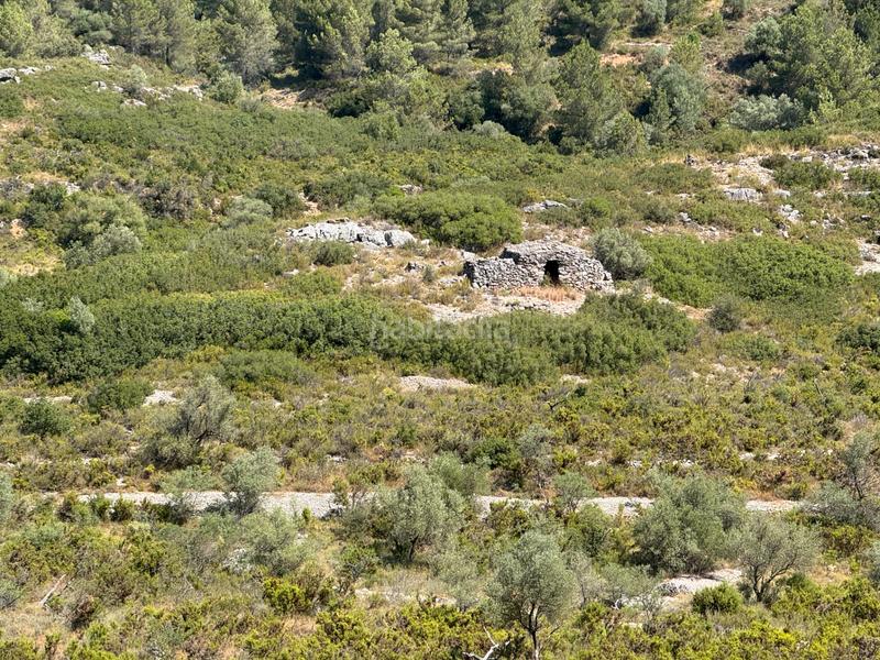 Foto 72bb1f07-95f0-4fc5-8f1d-08fcaf18a89c. Masia a Albocàsser