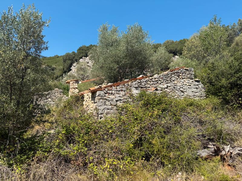 Foto ac3af84f-e380-4852-bc3c-30d88d44ed14. Masia a Albocàsser