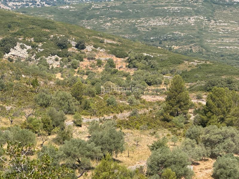 Foto cd902e40-b6f4-4b54-9db4-cdf7c109dcc2. Masia a Albocàsser