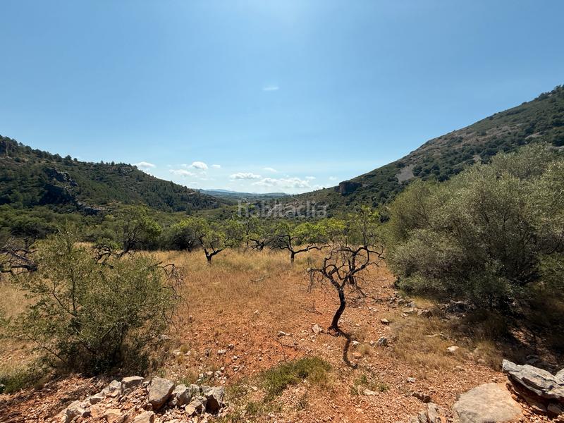 Foto e6fe0d09-b14f-44a0-a796-510d0875c606. Masia a Albocàsser