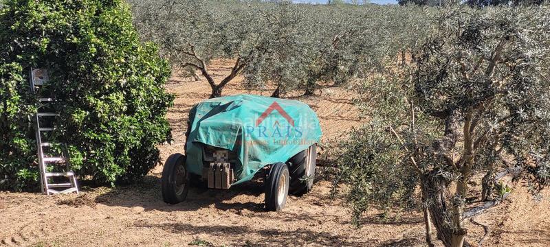 Foto 3a6d187f-338b-430d-84ae-aaa69b49f5d3. Terreny residencial a Pedanías Norte Utrera
