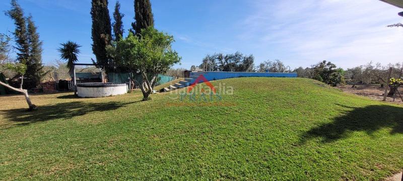 Foto dc5d216d-3953-4d6c-9e81-475d21bd6b1b. Terreny residencial a Pedanías Norte Utrera