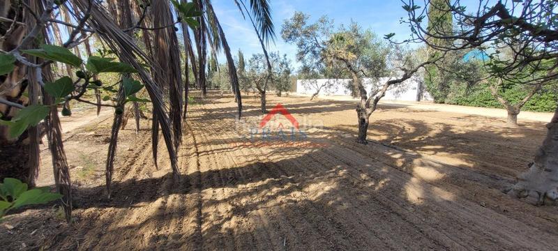 Foto f2a0448e-2052-4710-90d7-8866d8715118. Terreny residencial a Pedanías Norte Utrera