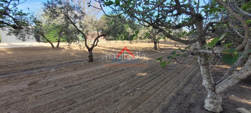 Foto fe5d0071-48f0-4823-8942-509924abc43d. Terreny residencial a Pedanías Norte Utrera