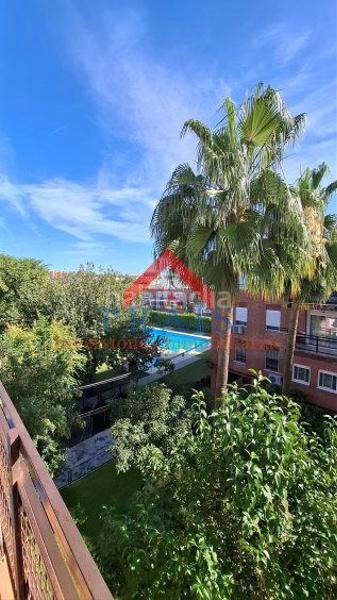 Foto ad49f24e-1983-4595-97d5-cbdc3c35a60d. Pis a Salesianos Utrera