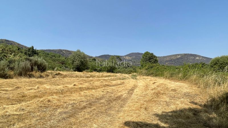 Foto 2a7bd968-5415-4986-9dff-c184e83d33b5. Finca rústica a n/a a Arenal (El)