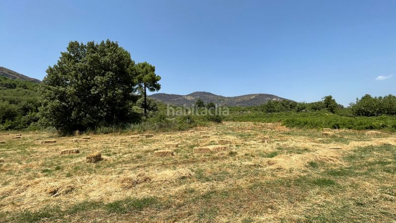 Foto b93ad035-490d-423c-9237-64ec1c17a669. Finca rústica a n/a a Arenal (El)