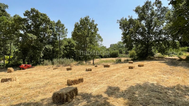 Foto d8bed8c6-0bcb-4600-b94d-13e7496519d9. Finca rústica a n/a a Arenal (El)