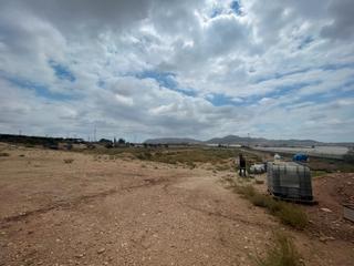 Finca rstica en Monforte del Cid. Terreno en venta en camino de orito 3824236, monforte del cid