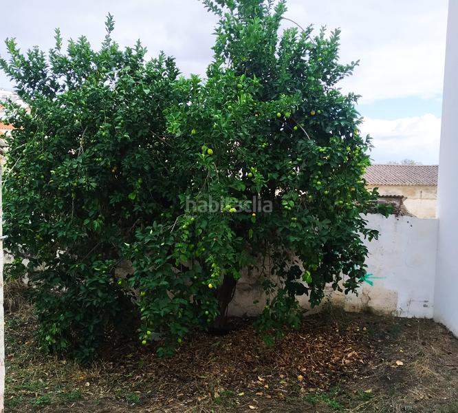 Foto d4501bb4-ca0a-4d3b-8794-c419d6428526. Terreny residencial a Jerez de los Caballeros