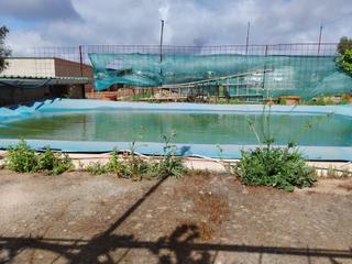 Finca rústica a Jerez de los Caballeros. Parcela en venta muy cerca de jerez. piscina