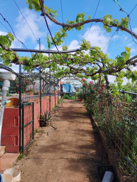 Foto c2a0c297-e905-470e-bf04-2fef15240c66. Finca rústica a Jerez de los Caballeros