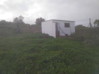 Finca rústica a Jerez de los Caballeros. Olivar cerca de jerez. agua,luz, casa antigua