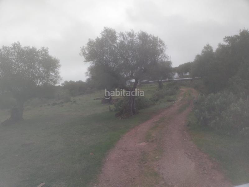 Foto 5214e77e-91e0-488c-97ee-83e5f5529b90. Finca rústica a Jerez de los Caballeros