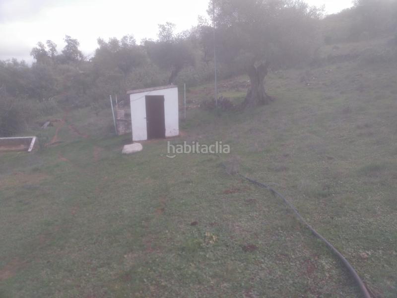 Foto e174e694-846b-4817-9499-04dd52817ec8. Finca rústica a Jerez de los Caballeros